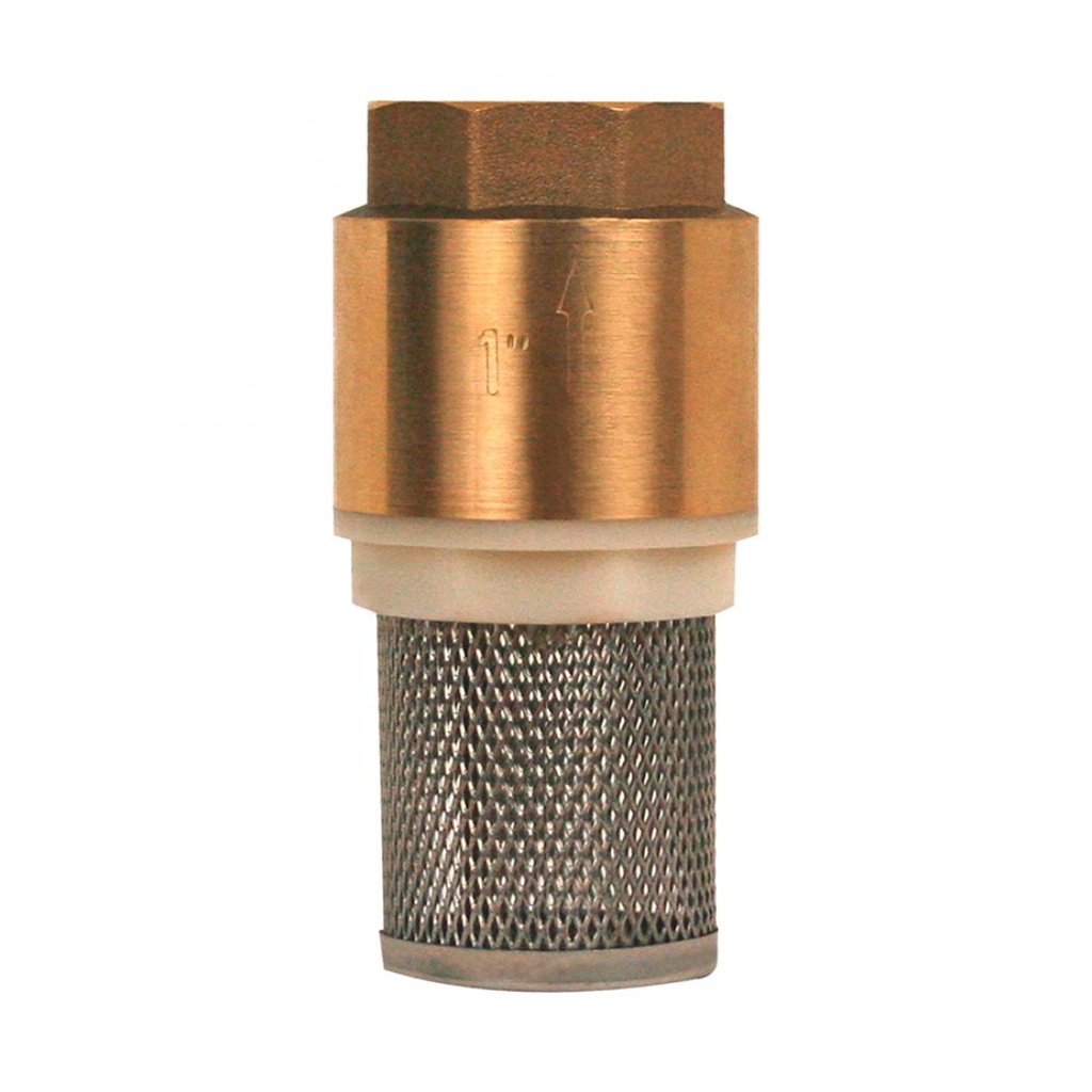 25MM.VALVULA PICHANCHA C/RES.A.INOX.Y FILTRO