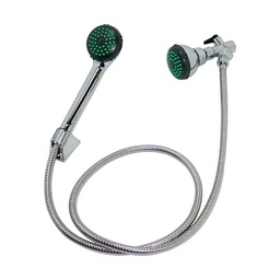 [44T] REGADERA TELEFONO CROMADA