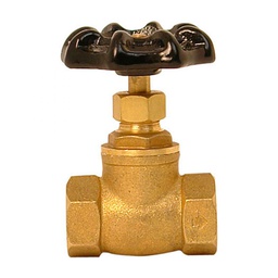 [73I 19] 19MM.VALVULA GLOBO ROSCAR