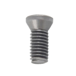[SA-500-2985] TORNILLO P/PORTAHERRAMIENTA M2.5X6